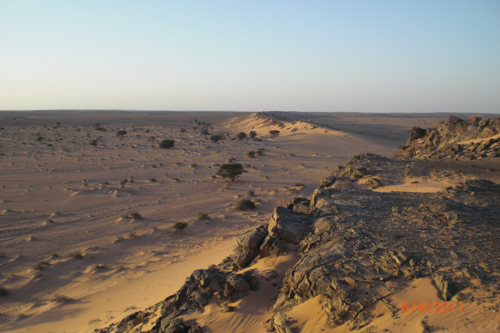 w sahara